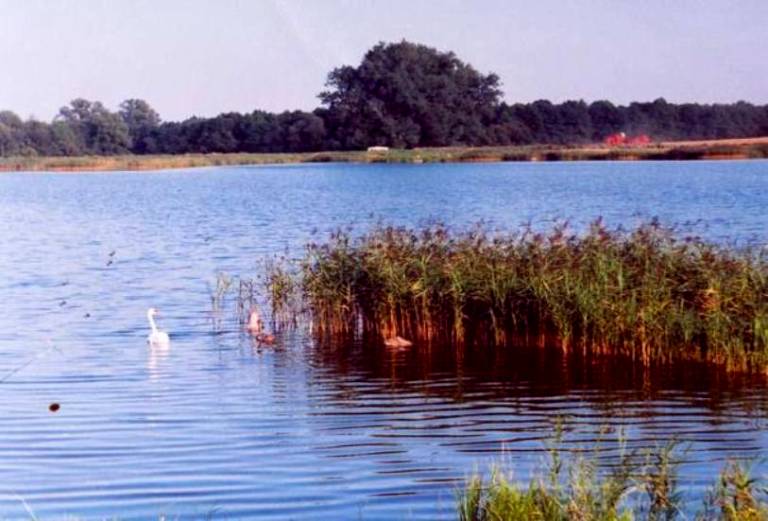 http://www.carpteam3miasto.ugu.pl/jaroslawki_pliki/image006.jpg