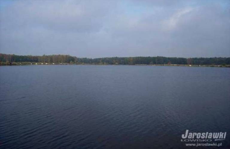http://www.carpteam3miasto.ugu.pl/jaroslawki_pliki/image010.jpg