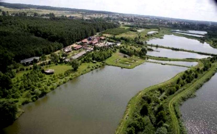 http://www.carpteam3miasto.ugu.pl/kormoran_pliki/image004.jpg