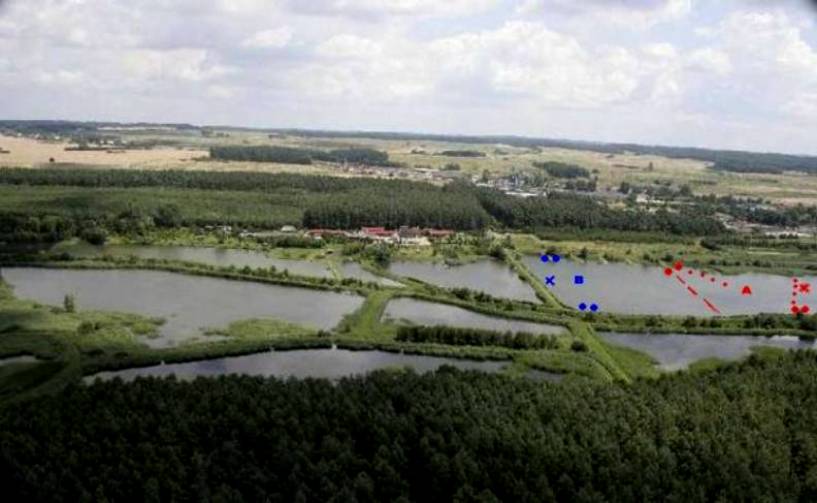 http://www.carpteam3miasto.ugu.pl/kormoran_pliki/image010.jpg