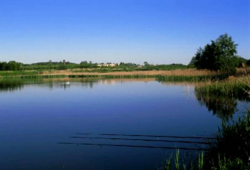 http://www.carpteam3miasto.ugu.pl/kormoran_pliki/image016.jpg