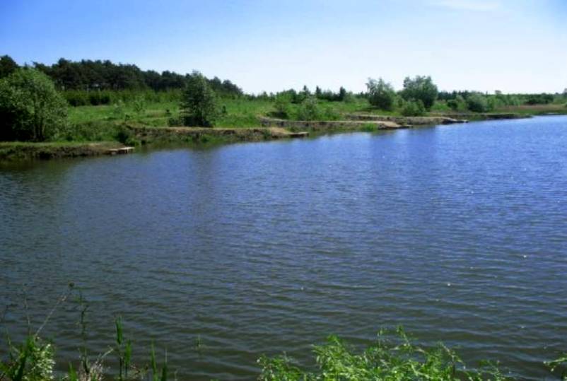 http://www.carpteam3miasto.ugu.pl/kormoran_pliki/image018.jpg