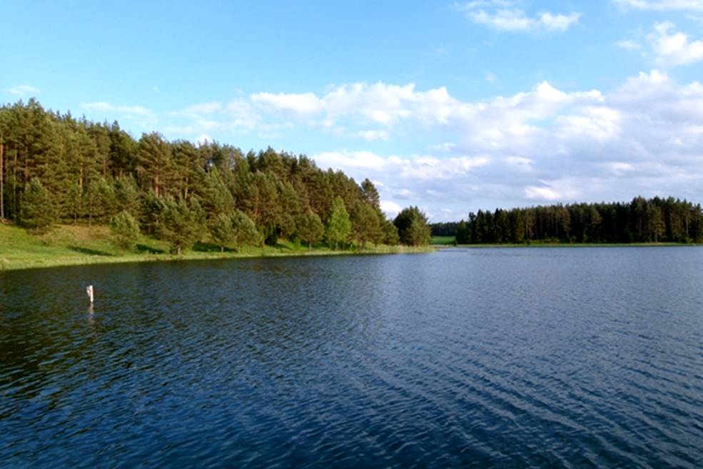 image009.jpg