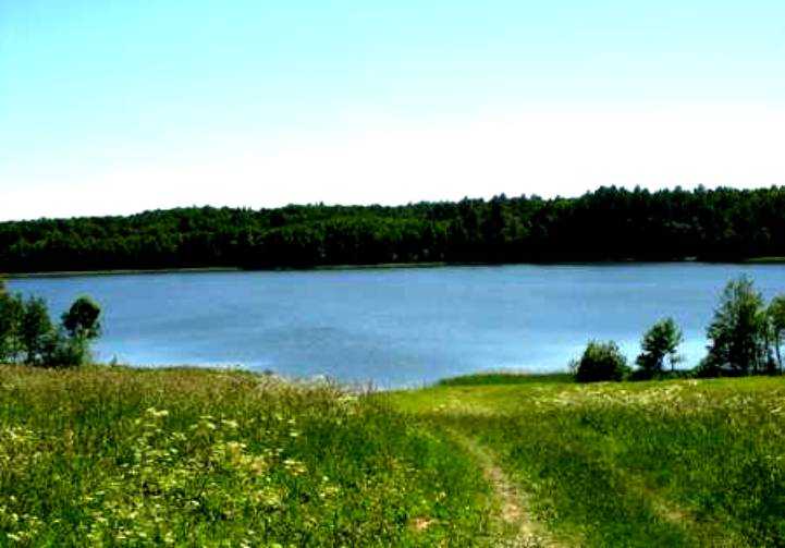 http://www.carpteam3miasto.ugu.pl/maly_szwalk_pliki/image004.jpg