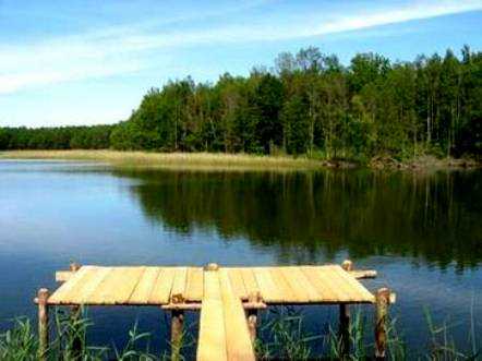 http://www.carpteam3miasto.ugu.pl/maly_szwalk_pliki/image006.jpg