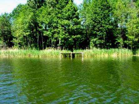 http://www.carpteam3miasto.ugu.pl/maly_szwalk_pliki/image008.jpg