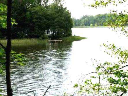 http://www.carpteam3miasto.ugu.pl/maly_szwalk_pliki/image012.jpg