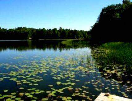 http://www.carpteam3miasto.ugu.pl/maly_szwalk_pliki/image016.jpg