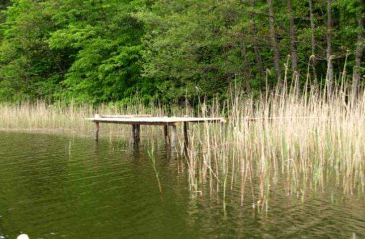 http://www.carpteam3miasto.ugu.pl/maly_szwalk_pliki/image034.jpg