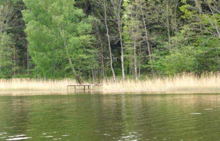 http://www.carpteam3miasto.ugu.pl/maly_szwalk_pliki/image036.jpg