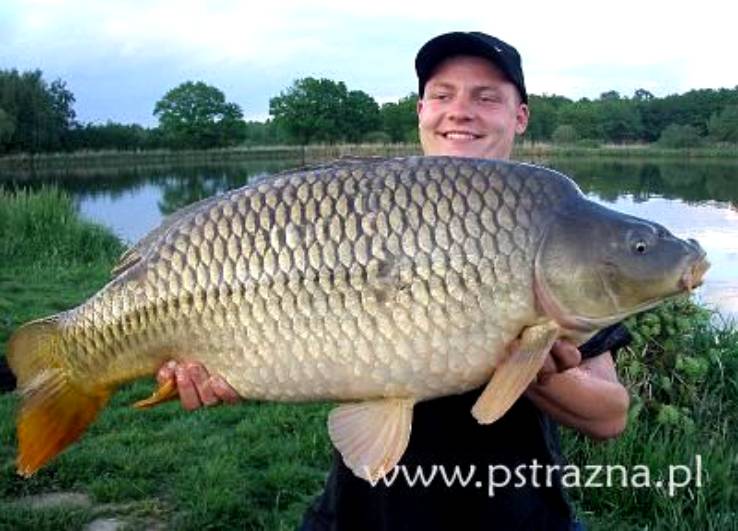 Karpiarze z Katowic