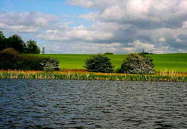 http://www.carpteam3miasto.ugu.pl/stojkowo_pliki/image010.jpg