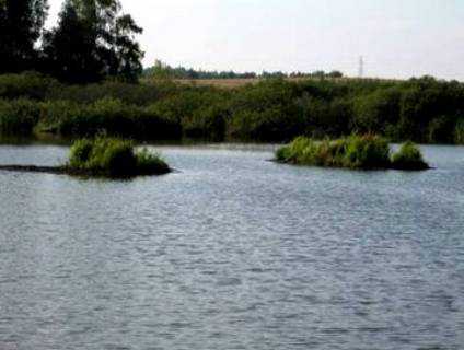 http://www.carpteam3miasto.ugu.pl/stojkowo_pliki/image016.jpg