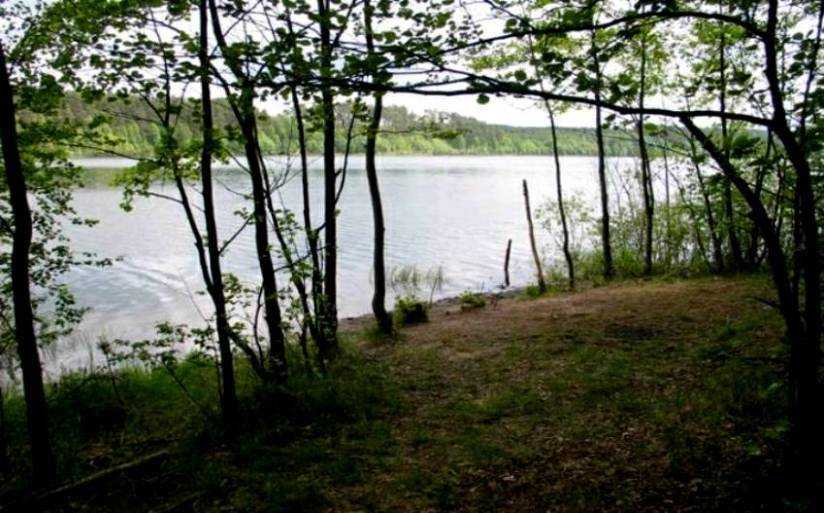 http://www.carpteam3miasto.ugu.pl/wygonin_pliki/image014.jpg